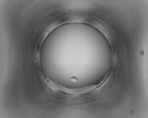 X0000097621481200803141951