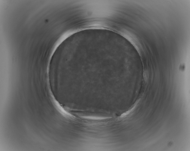 X0000097621482200803141951