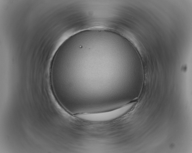 X0000097621483200803141951