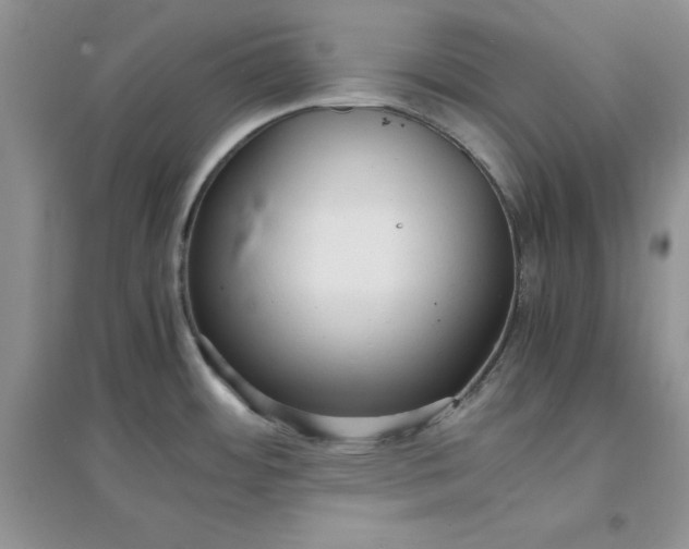 X0000097621484200803141951