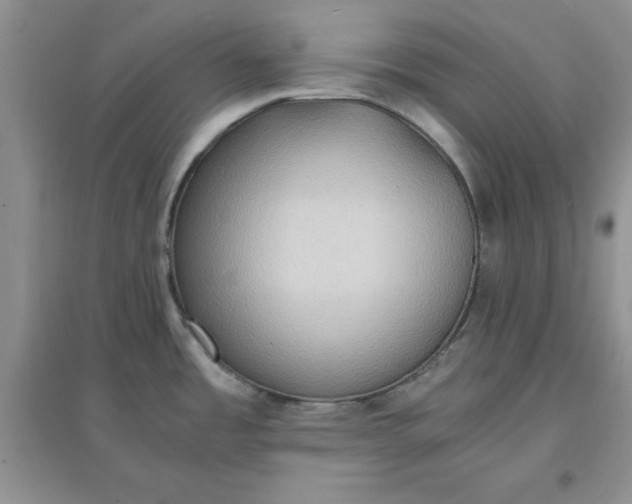 X0000097621485200803141951