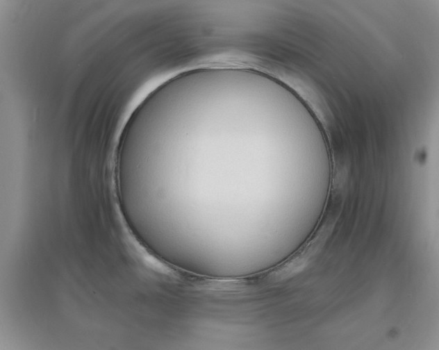 X0000097621486200803141951