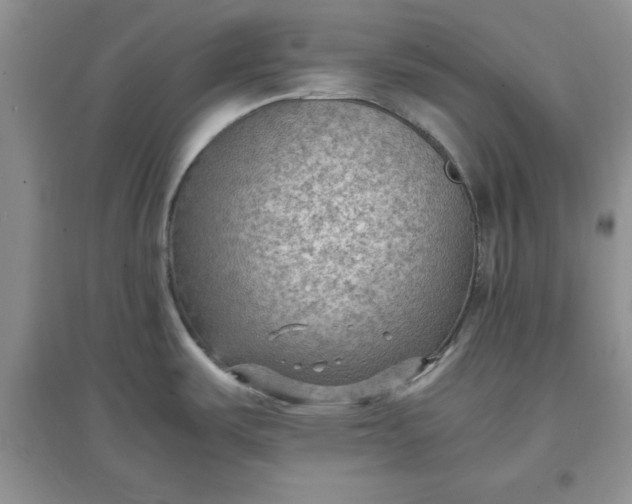 X0000097621487200803141951