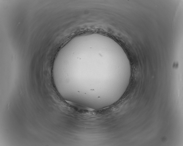 X0000097621489200803141950