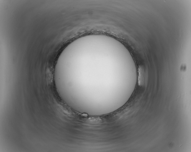 X0000097621491200803141950