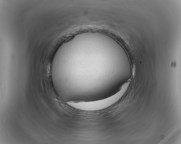 X0000097621492200803141950