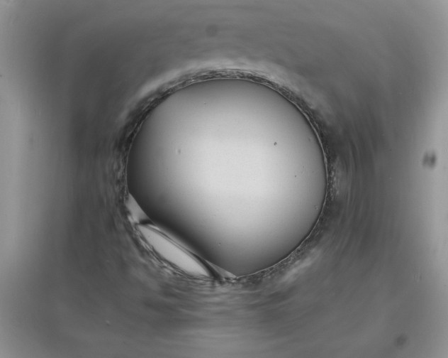 X0000097621494200803141950