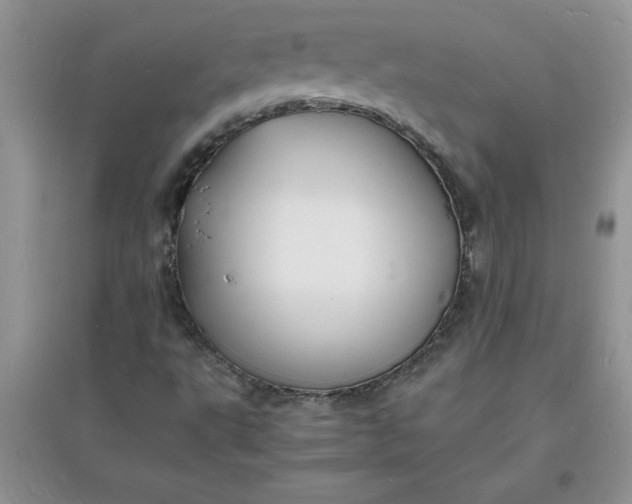 X0000097621495200803141950