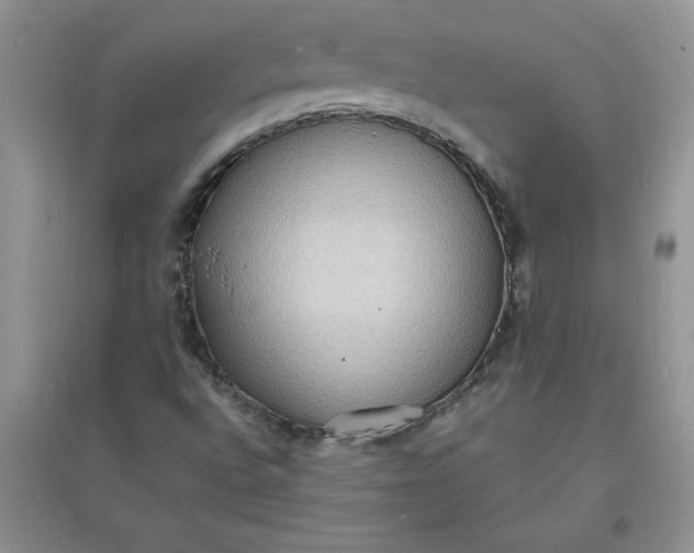 X0000097621496200803141950