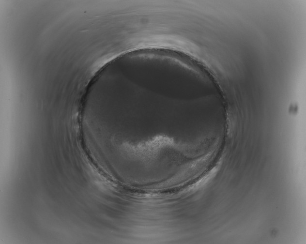 X0000097621497200803141950