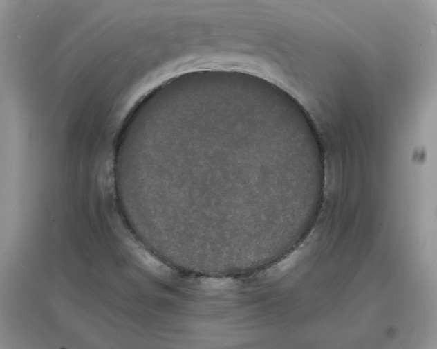 X0000097621498200803141950
