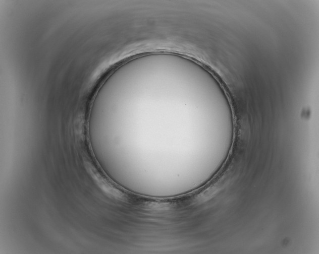 X0000097621499200803141950