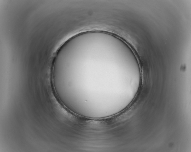 X0000097621500200803141950