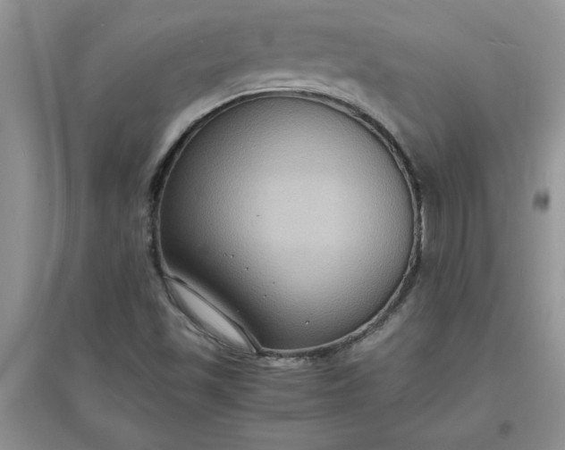 X0000097621501200803141950
