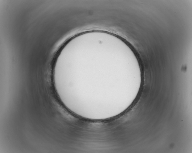 X0000097621502200803141950