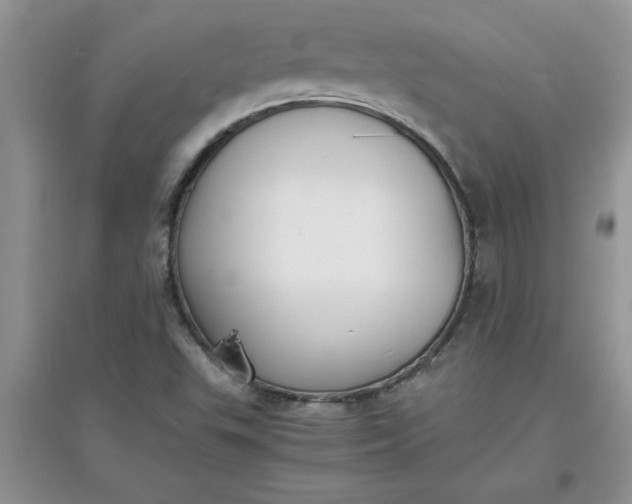 X0000097621503200803141950