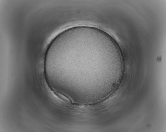 X0000097621504200803141950