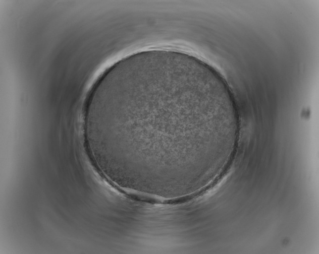X0000097621506200803141950