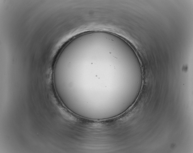 X0000097621507200803141950