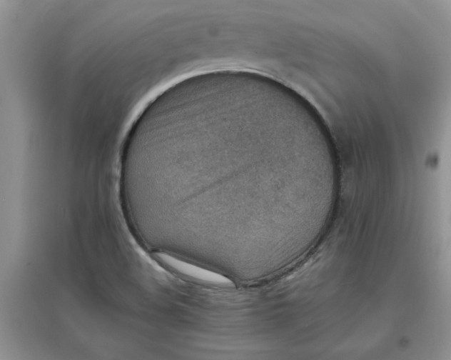 X0000097621508200803141950