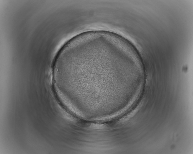 X0000097621509200803141950