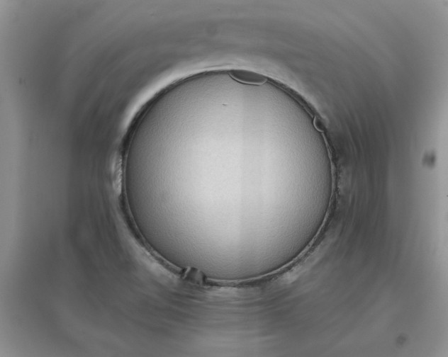 X0000097621510200803141950