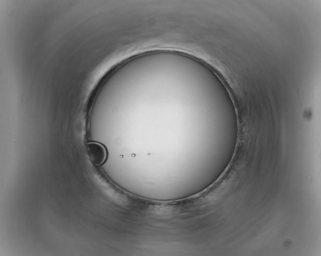 X0000097621511200803141950
