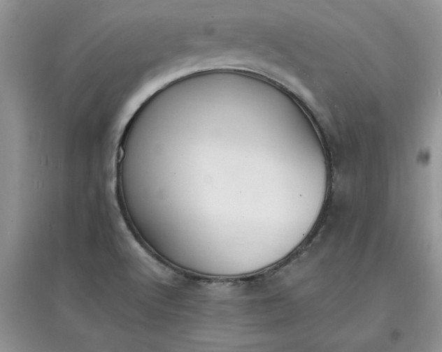 X0000097621512200803141950