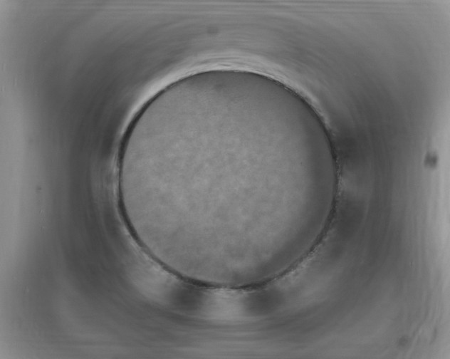X0000097621514200803141950