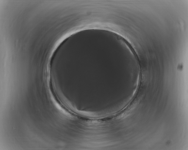 X0000097621515200803141950