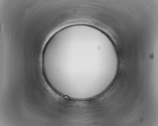 X0000097621516200803141950