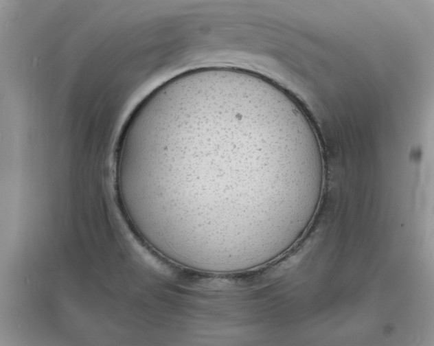 X0000097621517200803141950