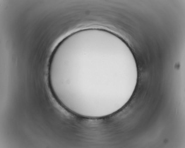 X0000097621518200803141950