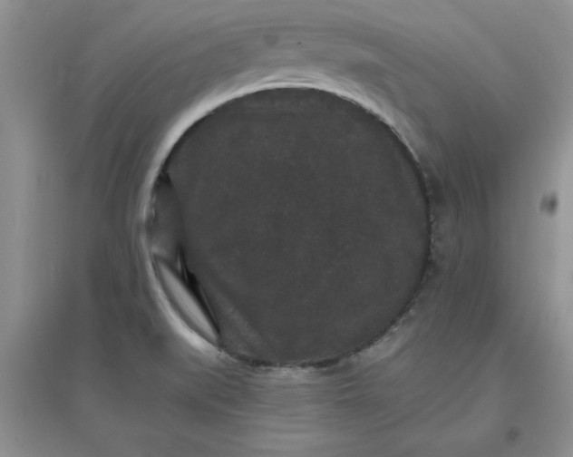 X0000097621519200803141950