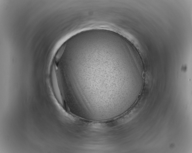 X0000097621520200803141950