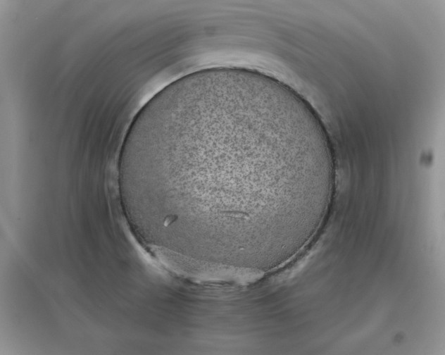 X0000097621521200803141950