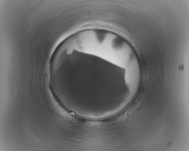 X0000097621522200803141950