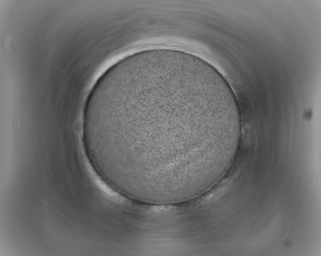 X0000097621523200803141950