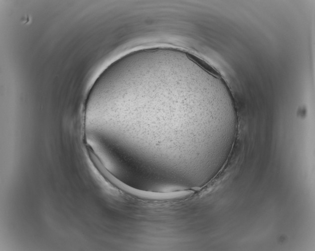 X0000097621524200803141950