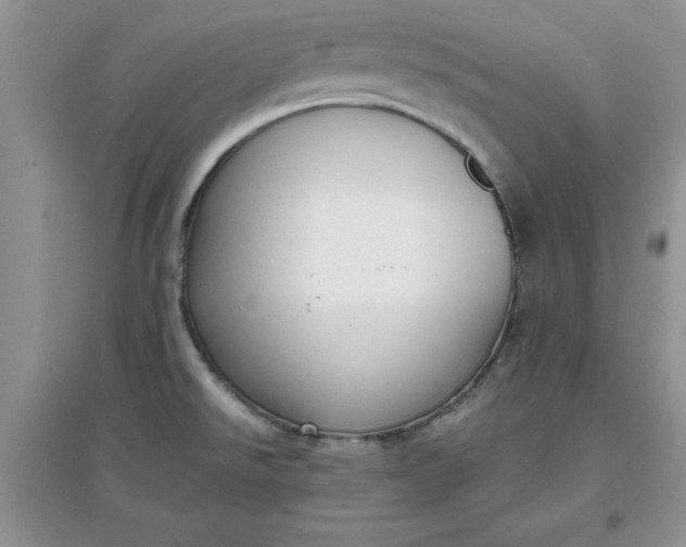 X0000097621526200803141950