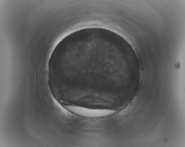 X0000097621527200803141950
