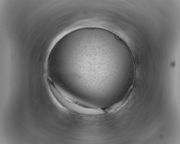 X0000097621528200803141950