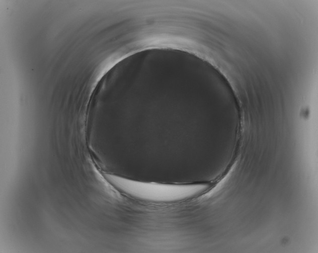 X0000097621529200803141950