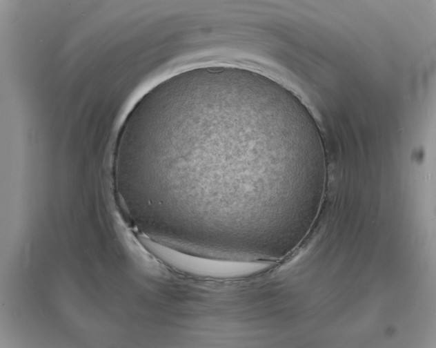 X0000097621530200803141950