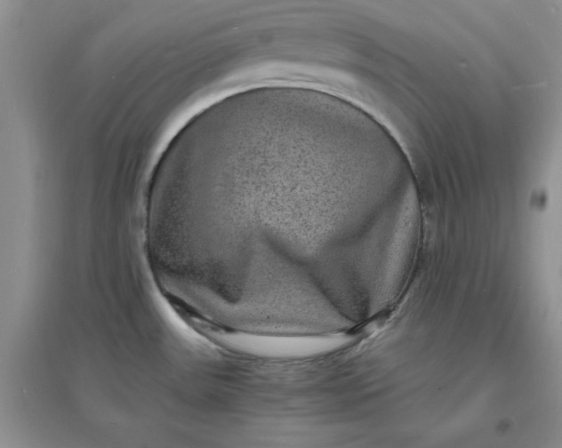 X0000097621531200803141950