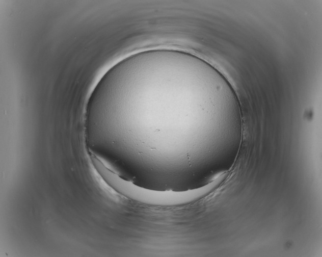 X0000097621532200803141950