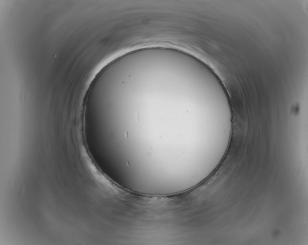 X0000097621534200803141950