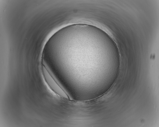 X0000097621536200803141951