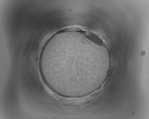 X0000097620001200803211756