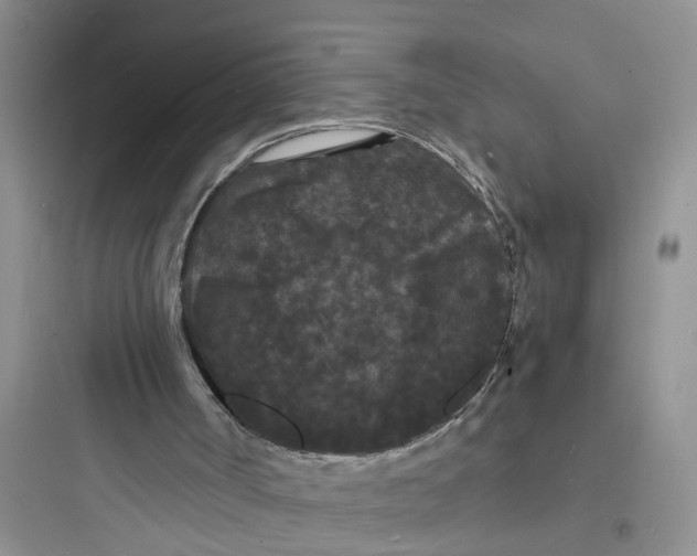 X0000097620002200803211756